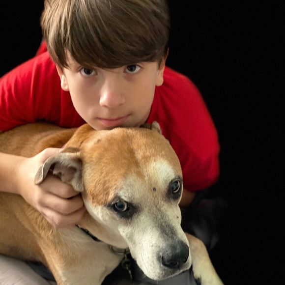 Meet your Posher, Michele - Picture 4 of 8